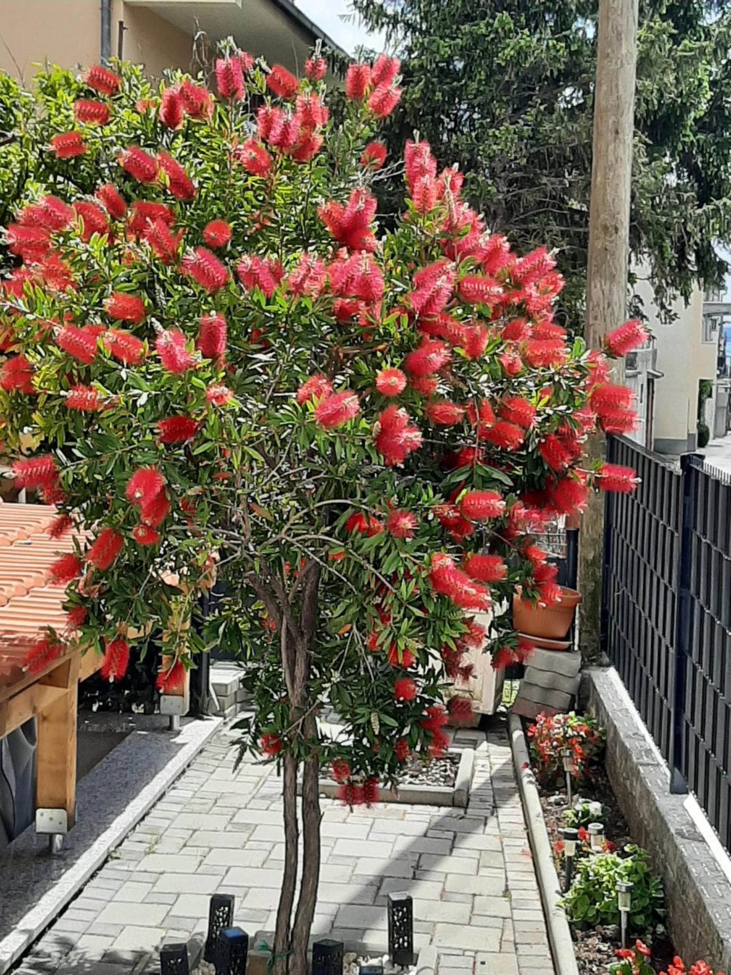 Apartment Radalj Kastela Luaran gambar